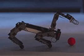 Image result for Life Like Robots in Japan