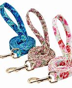 Image result for Dog Leash for Five Dogs