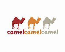 Image result for camwnal