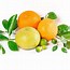 Image result for Exotic Fruits Mix