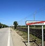Image result for cantarrana