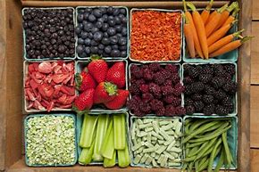 Image result for Freeze Dried Snacks