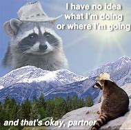 Image result for Raccoon This Big Meme