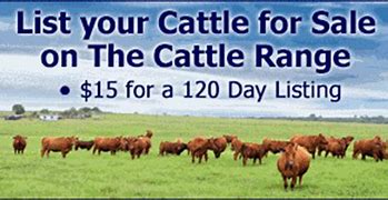 Image result for What Is a Cattle Rustler