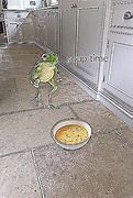 Image result for Soup Time Frog Meme