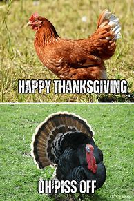 Image result for Fat Turkey Meme