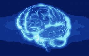 Image result for Human Brain Animation GIF