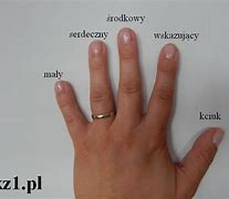 Image result for co_oznacza_jak_mogłeś