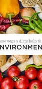 Image result for Vegan and Environment