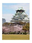 Image result for Things to Do in Osaka Japan