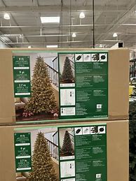 Image result for Costco Christmas Tree Return