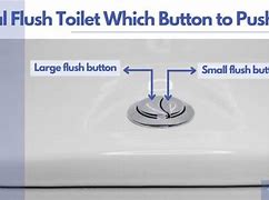 Image result for Push Button Dual Flush Toilet