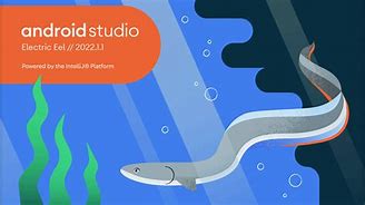Image result for Andiod Studio Vesions Latest