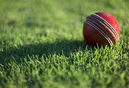 Image result for Cricket Ball Sport
