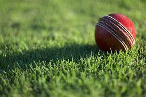 Image result for Cricket Gear