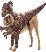 Image result for T Rex Dog Costume