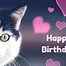 Image result for Cat Wishing Happy Birthday