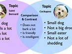 Image result for MLA Format Compare and Contrast Essay