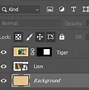 Image result for How to Make a Transparent Background in Photoshop