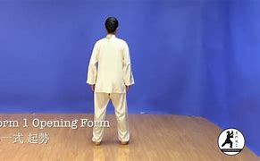 Image result for 24 Form Tai Chi Demonstration Master Amin Wu