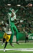 Image result for Down and Out Canadian Football