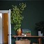 Image result for Farrow and Ball Paint