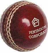 Image result for Bulk Cricket Ball