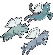 Image result for Flying Cat Anime
