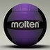 Image result for Molten Volleyball