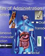 Image result for Route of Administration