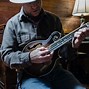 Image result for Mandolin Playing