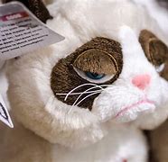 Image result for Grumpy Cat Stuffed Animal