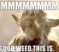 Image result for Weed Meme Subway