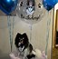 Image result for Happy Birthday in Heaven Memorials