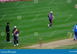 Image result for New York Cricket