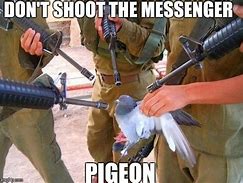 Image result for Shoot the Messenger Meme