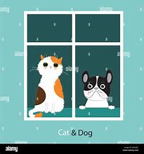 Image result for Cool Cats and Dogs