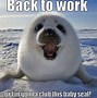 Image result for Feels Good to Be Back at Work Meme