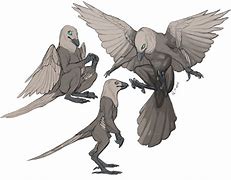 Image result for Humanoid Bird