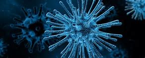 Image result for Cold Virus Under Microscope