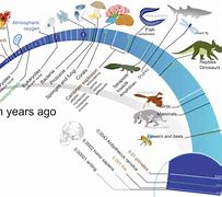 Image result for Timeline of Evolution Chart