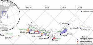 Image result for Hunga Tonga Eruption Satellite