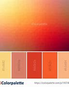 Image result for Warm Colors Red-Orange Yellow