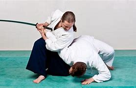 Image result for Aikido Sword Techniques