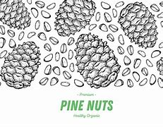 Image result for 1 Pound Pine Nuts