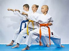 Image result for Elite Show Martial Arts for Kids
