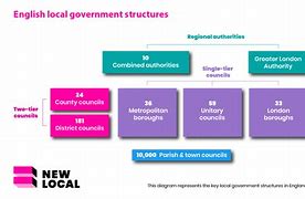 Image result for Local Government Examples