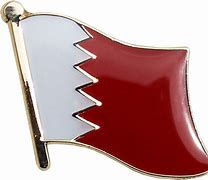 Image result for Bahrain Flag Pin
