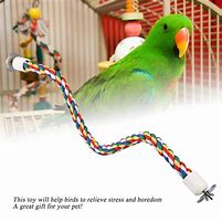 Image result for Bird Rope Toys