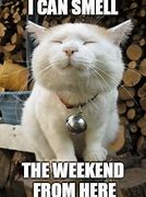 Image result for Week Day Cat Memes